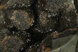 Septarian Dragon Egg Geode - Black Crystals #137911-1